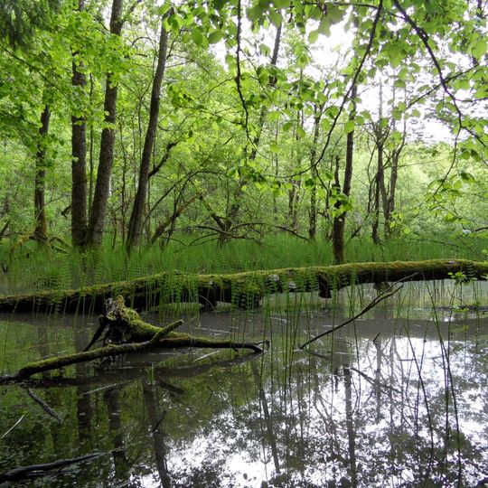 Tegeldammarna / Lergravarna