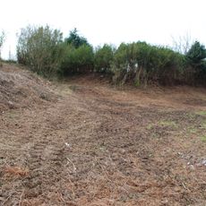 Castro de Santa Mariña