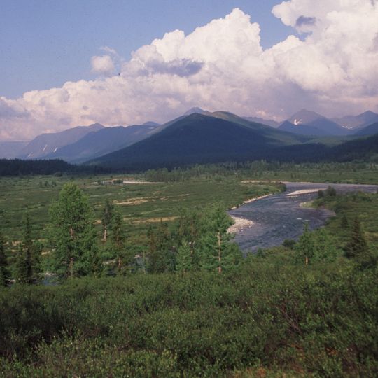 Foresta vergine di Komi