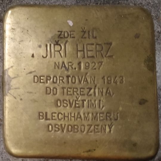 Stolperstein dedicated to Jiří Herz