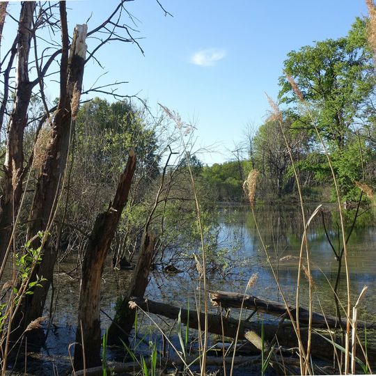 Baruther Urstromtal und Luckenwalder Heide