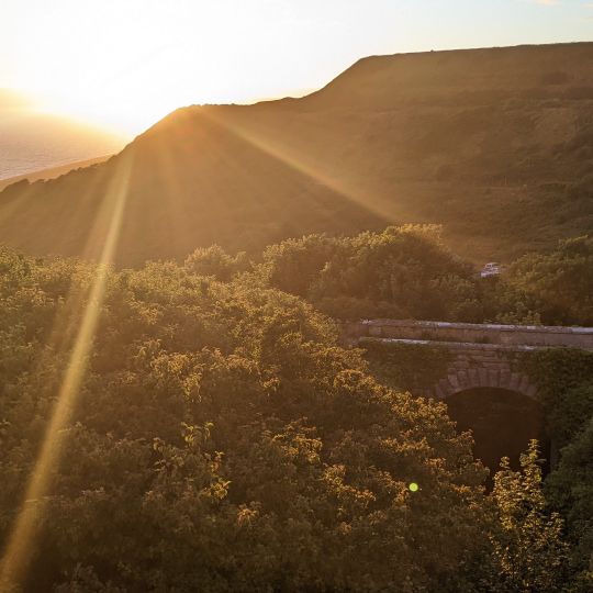 Bridge At Sy 6923 7333