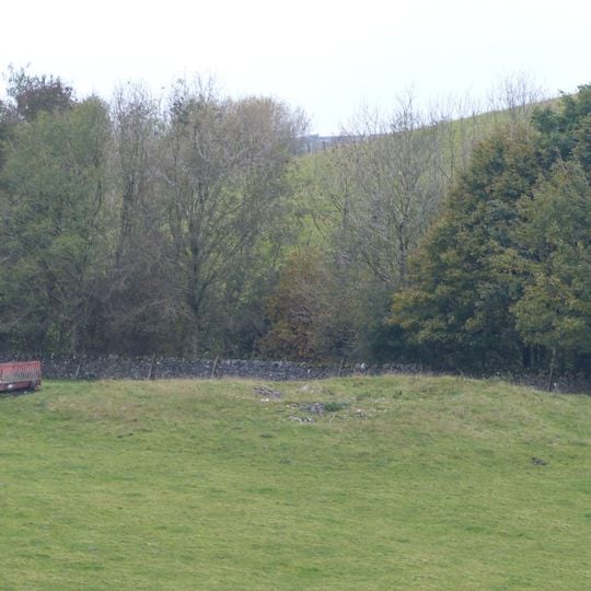 Perry Dale bowl barrow and long barrow