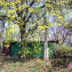 Kříž severozápadně od Branic