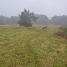 Southorpe Meadow