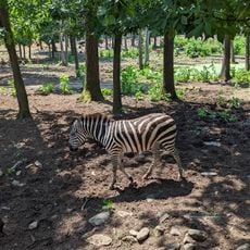 Catoctin Wildlife Preserve and Zoo
