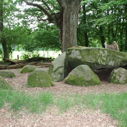 Großsteingrab Heidenopfertisch