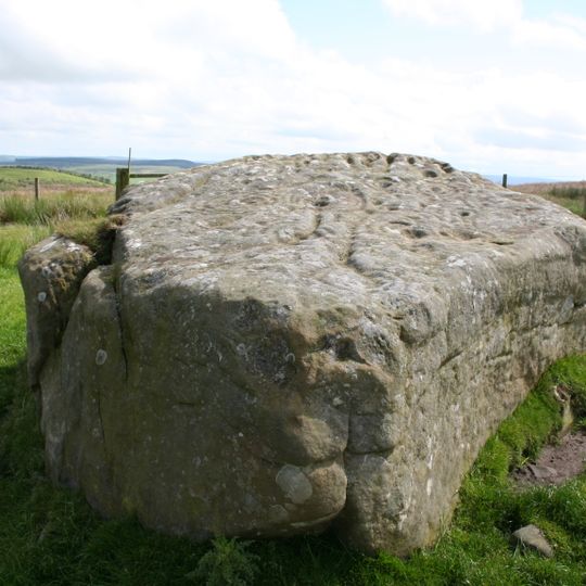 Bewick Hill cup and ring marked rocks, Old Bewick