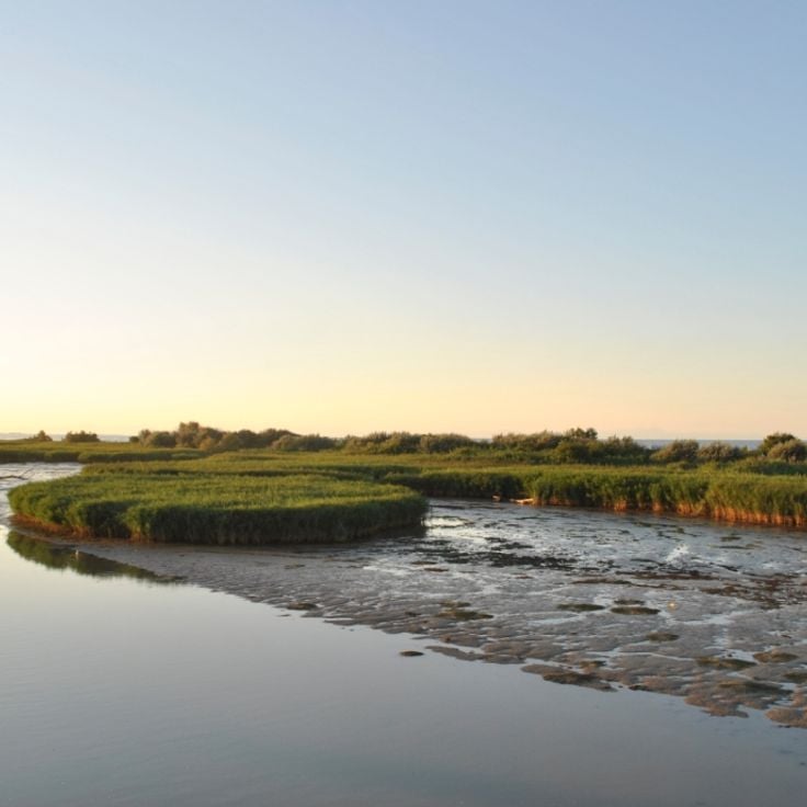 Parco regionale del Delta del Po