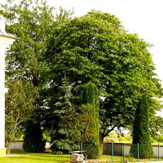 Park