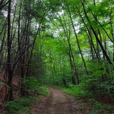 George Waldo State Park