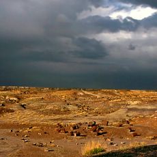 Petrified Forest National Park