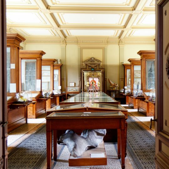 Teylers Fossil Room II