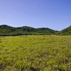 Mata da Estrela Private Natural Heritage Reserve