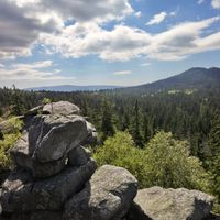 Tröstauer Forst-Ost