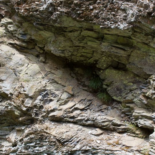 Straßenaufschluss Thiemitzwand NW von Schwarzenbach a. W.