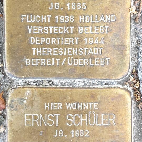 Stolperstein en memoria de Rosa Jenny Elli Petzall verw. Cohn Petzall