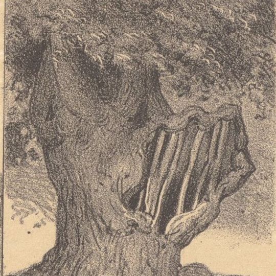 Holle boom bij Kraantje Lek