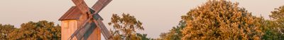 Panoramic View 0