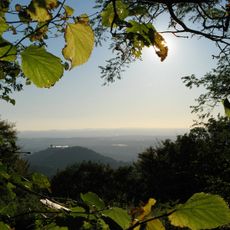 Großer Ölberg