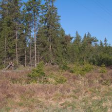 Pohořské rašeliniště