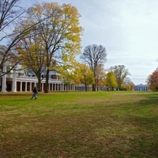 The Lawn