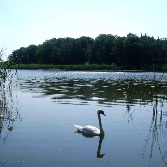 Rezerwat przyrody Wyspa Konwaliowa