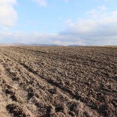 Crkvište, Nemanjici