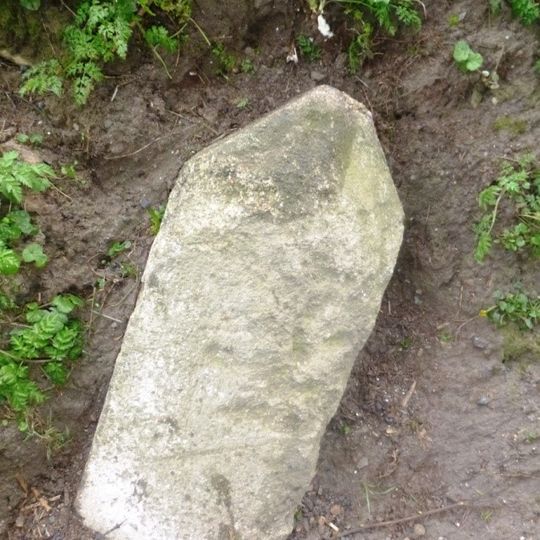 Milestone, E of Tailor's Shop Plantation