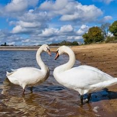 Plage des Américains