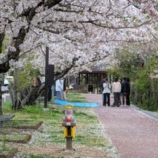 蔵本運動公園