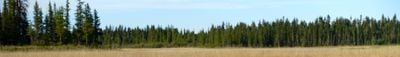 Panoramavy 2