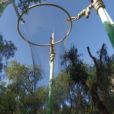 Installazione, opera d'arte