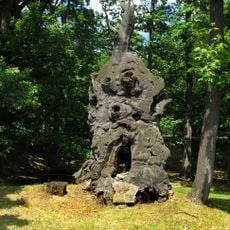 Tisíciletý dub v Oseku