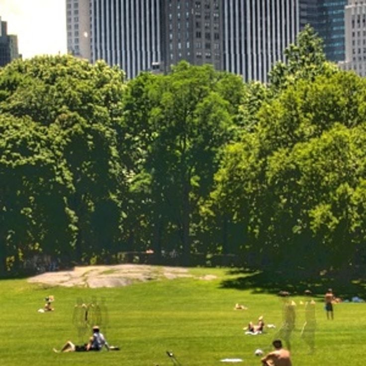 Central Park