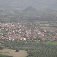 Gesturi