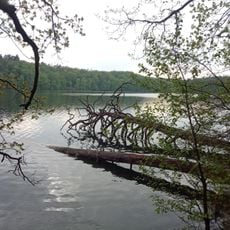 Nature reserve Mieliwo