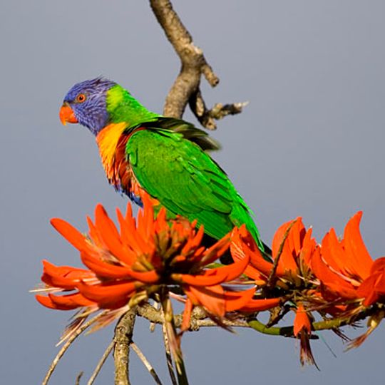 Sir-James-Mitchell-Nationalpark