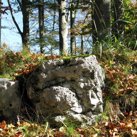 Burgruine Schellenburg