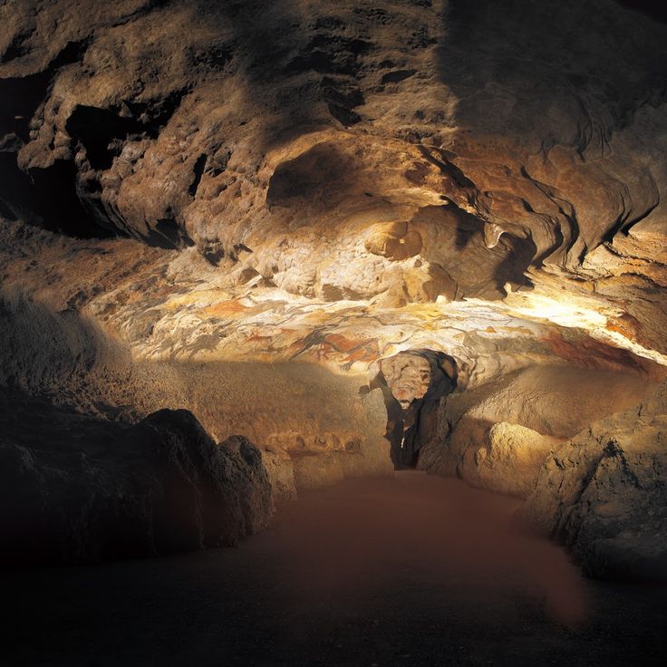 Lascaux II