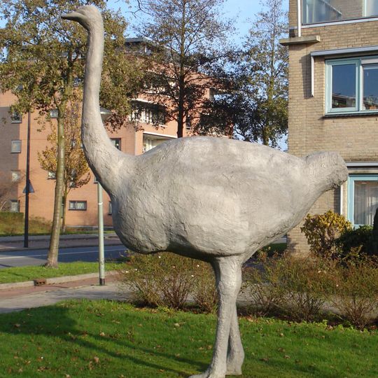 Struisvogel en haar eieren
