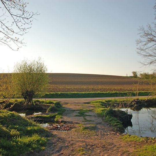 Enzinsel "Wörth" mit Altarm