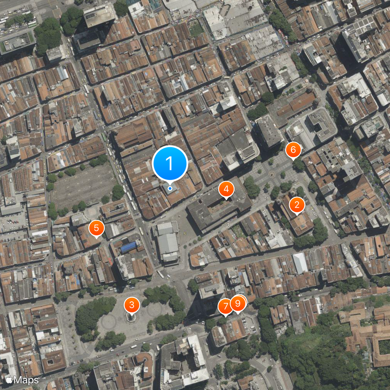 Royal Portuguese Cabinet of Reading Mapa