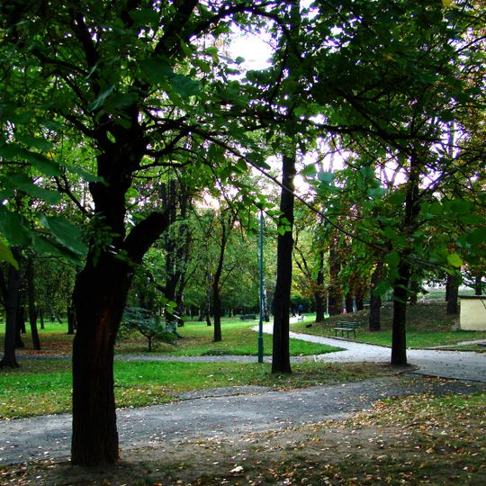 Park pałacowy