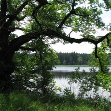 Oberhauser Weiher