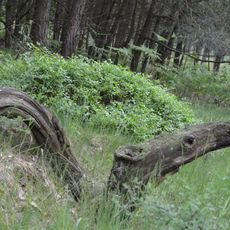 Bergbaufolgelandschaft Grünhaus