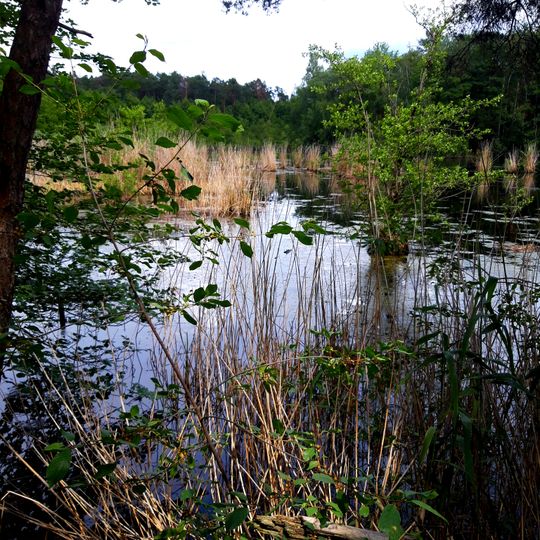 Rallenteich von Eppertshausen