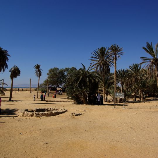Oyun Musa