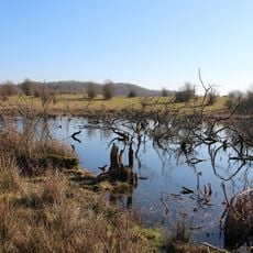 Treene Winderatter See bis Friedrichstadt und Bollingstedter Au