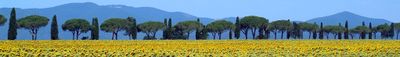 Panoramic View 1